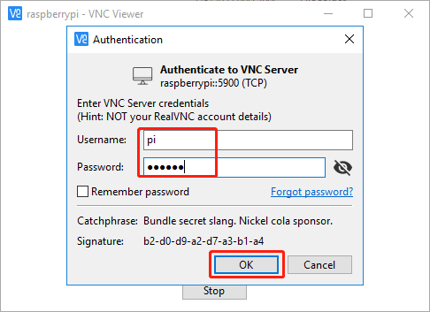 ../_images/vnc_viewer2.png