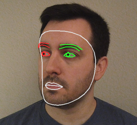 ../_images/mp_face_iris.png