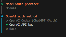 _images/api_key_open_claw.png