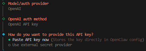 _images/paste_api_key_open_claw.png
