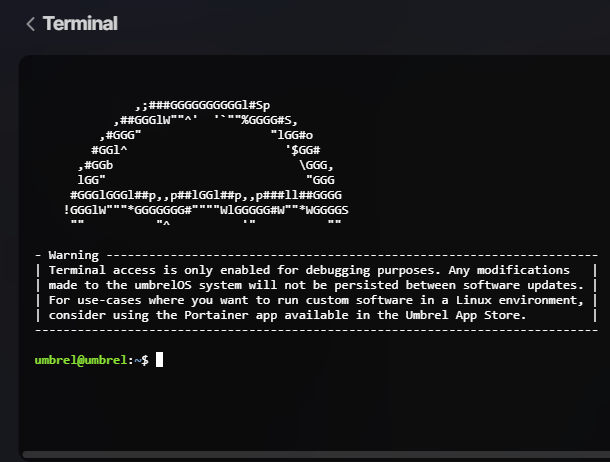 ../../_images/umbrel_terminal.png
